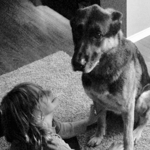 Pets Make Our Family Whole - Jack the Gentle German Shepherd